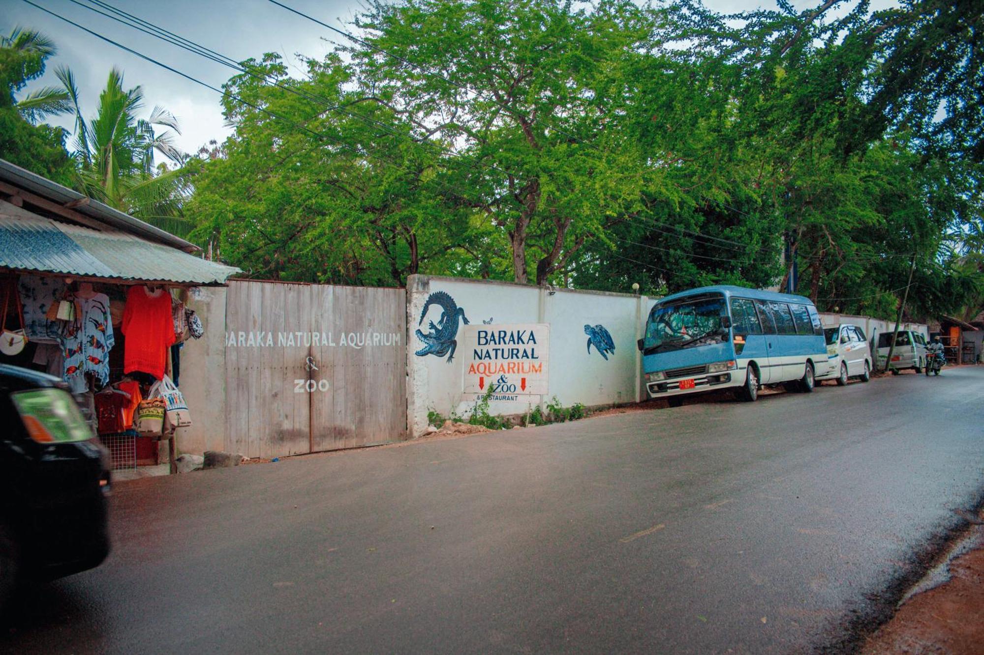 Bed and Breakfast Mwana House Nungwi Esterno foto